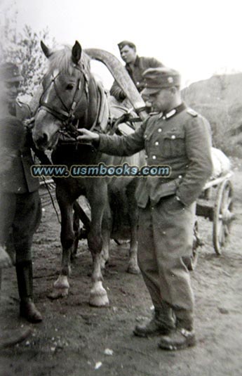 Nazi Gebirgsjaeger, Nazi mountain troops